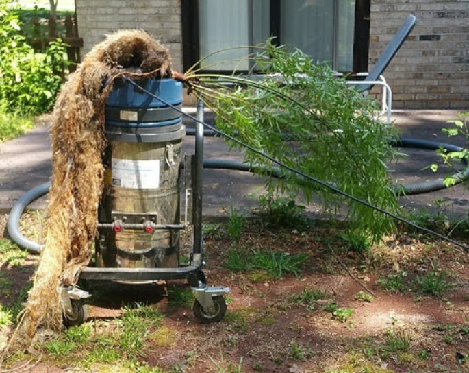 gutter-tree-removal-cleaning-kennesaw-ga
